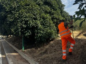 Scopri di più sull'articolo Agrigento, scatta il piano decoro: operai al lavoro nei quartieri