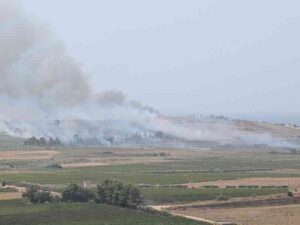 Scopri di più sull'articolo Agrigento – Menfi. Vasto incendio al Cipollazzo, fiamme vicino alle case. Strada chiuda tra Fiori e Porto Palo