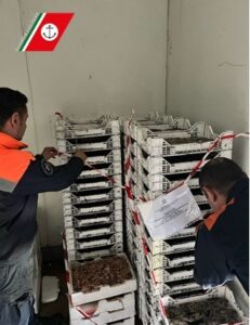 Scopri di più sull'articolo Agrigento – Prodotti ittici scaduti e alimenti mal conservati: multate sei attività