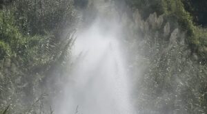 Scopri di più sull'articolo Agrigento – Fotonotizia