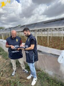 Scopri di più sull'articolo Agrigento – Controlli in aziende agricole, scoperti 15 lavoratori “in nero” e 4 irregolari
