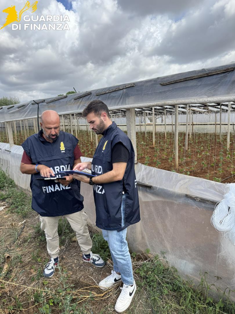 Al momento stai visualizzando Agrigento – Controlli in aziende agricole, scoperti 15 lavoratori “in nero” e 4 irregolari