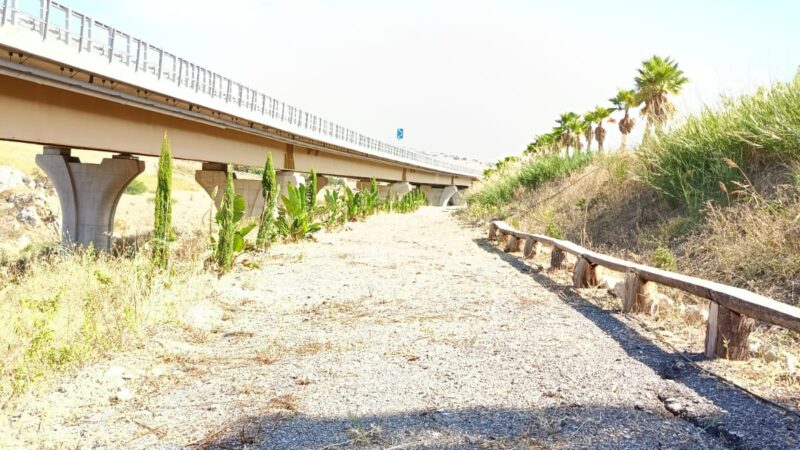 Al momento stai visualizzando Agrigento – Conalpa in prima fila, ogni giorno, nel ricordare il giudice Livatino
