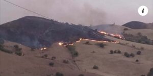 Scopri di più sull'articolo Agrigento – Incendio boschivi: pubblicati i contributi comunali a sostegno delle aziende colpite