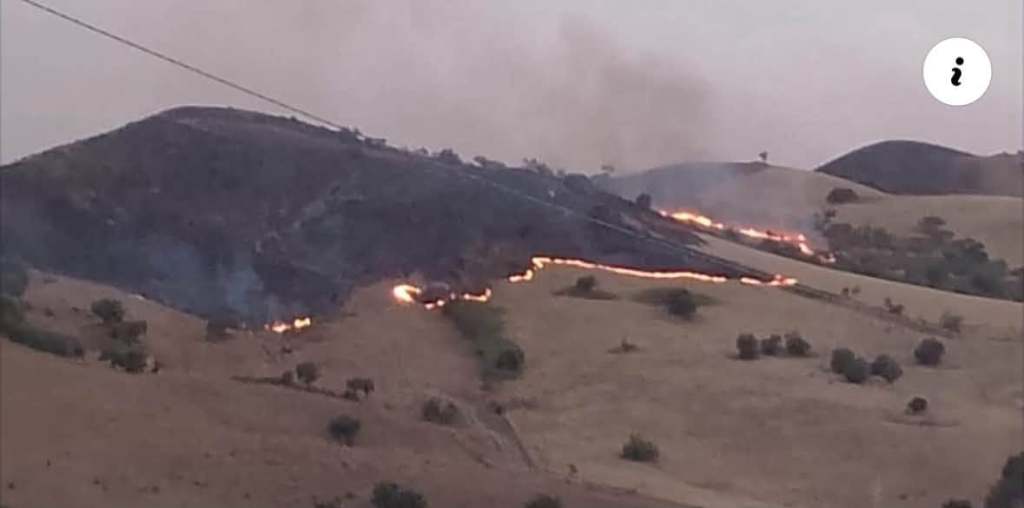 Al momento stai visualizzando Agrigento – Incendio boschivi: pubblicati i contributi comunali a sostegno delle aziende colpite