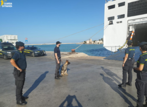 Scopri di più sull'articolo Agrigento, arriva Nolly, giovane pastore tedesco della Guardia di Finanza contro lo spaccio