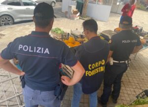Scopri di più sull'articolo Agrigento – Frutta e verdura non tracciata, scatta il sequestro e le sanzioni per due ambulanti