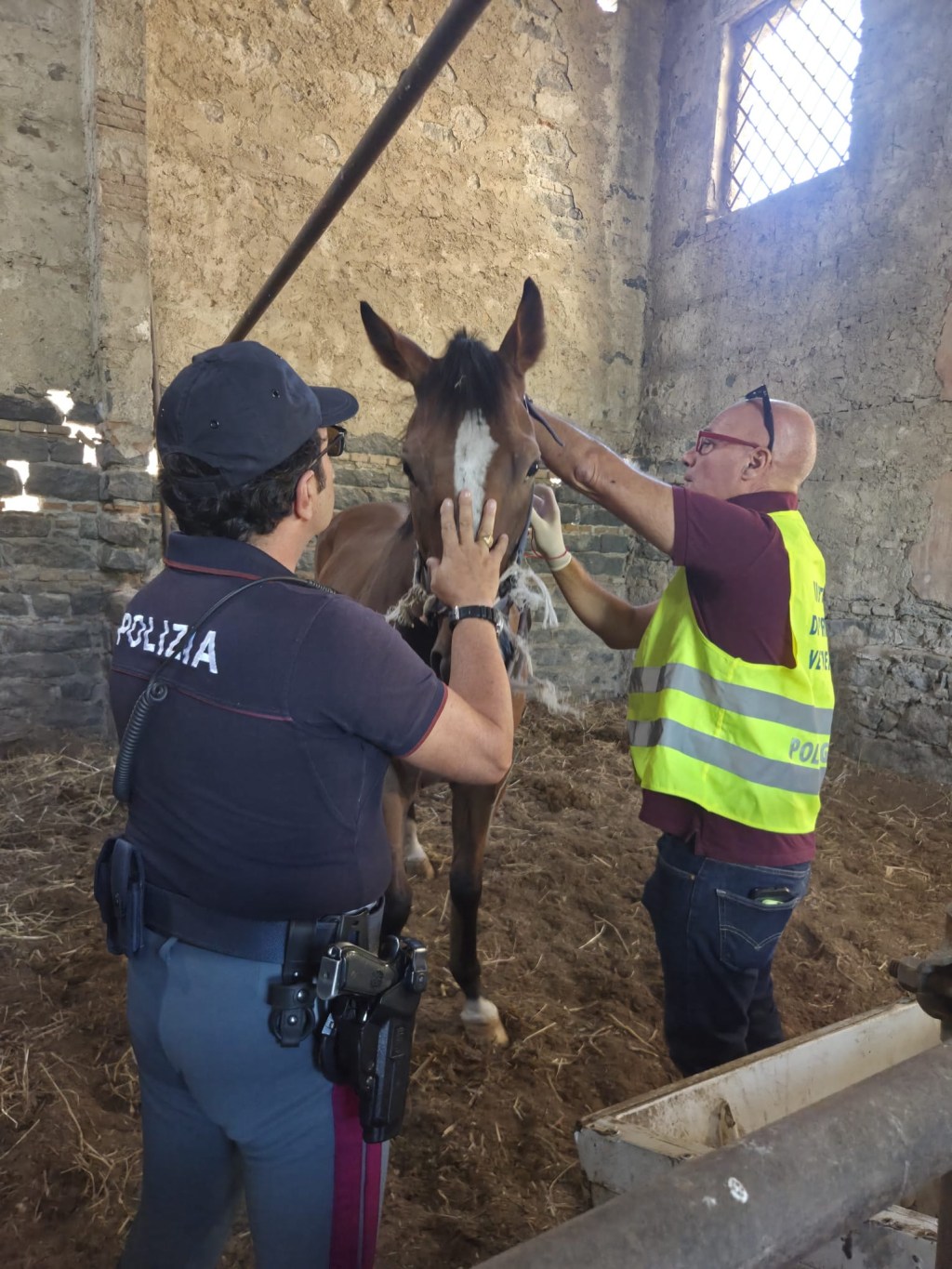 Al momento stai visualizzando Agrigento – Scoperta stalla abusiva, scatta il sequestro e la sanzione