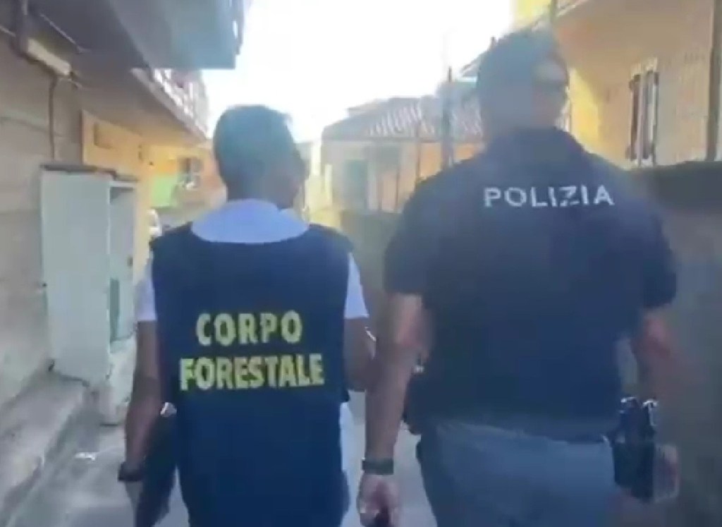 Al momento stai visualizzando Agrigento – Garage trasformato in panificio/pasticceria: denunciato e sanzionato  il titolare
