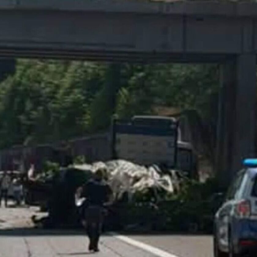 Al momento stai visualizzando Agrigento – Caso Crosta, la Soprintendenza boccia la sanatoria e la moglie lancia la petizione su Facebook per salvare il marito in Giunta: la politica agrigentina sprofonda nel surreale