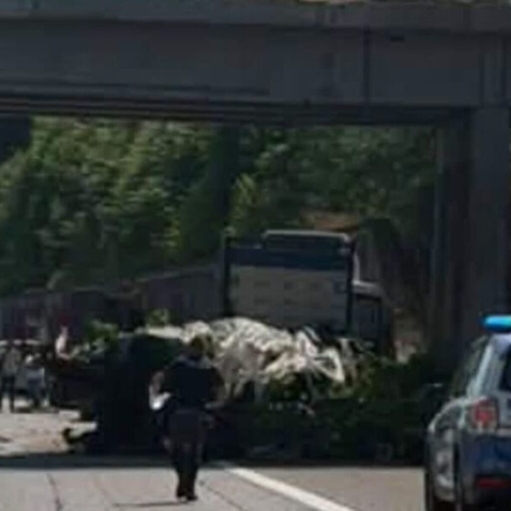 Al momento stai visualizzando Agrigento – Scontro tra due camion, un morto