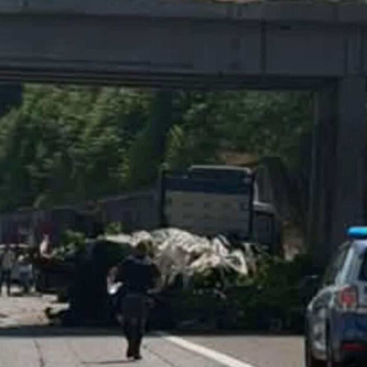 Al momento stai visualizzando Agrigento – Scontro tra due camion, un morto