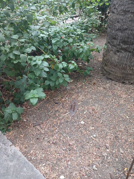 Al momento stai visualizzando Agrigento – Canicattì, raid al Giardino dei Giusti