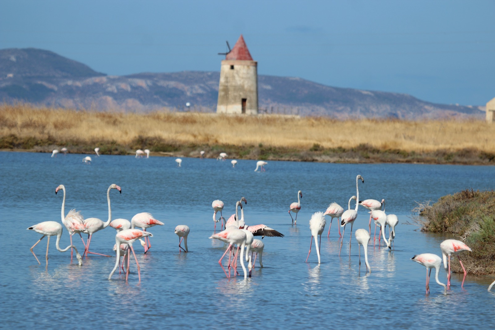 Al momento stai visualizzando Agrigento – Le Saline di Sicilia verso il riconoscimento UNESCO, Renato Schifani e Giusi Savarino: “La Regione sostiene la candidatura”
