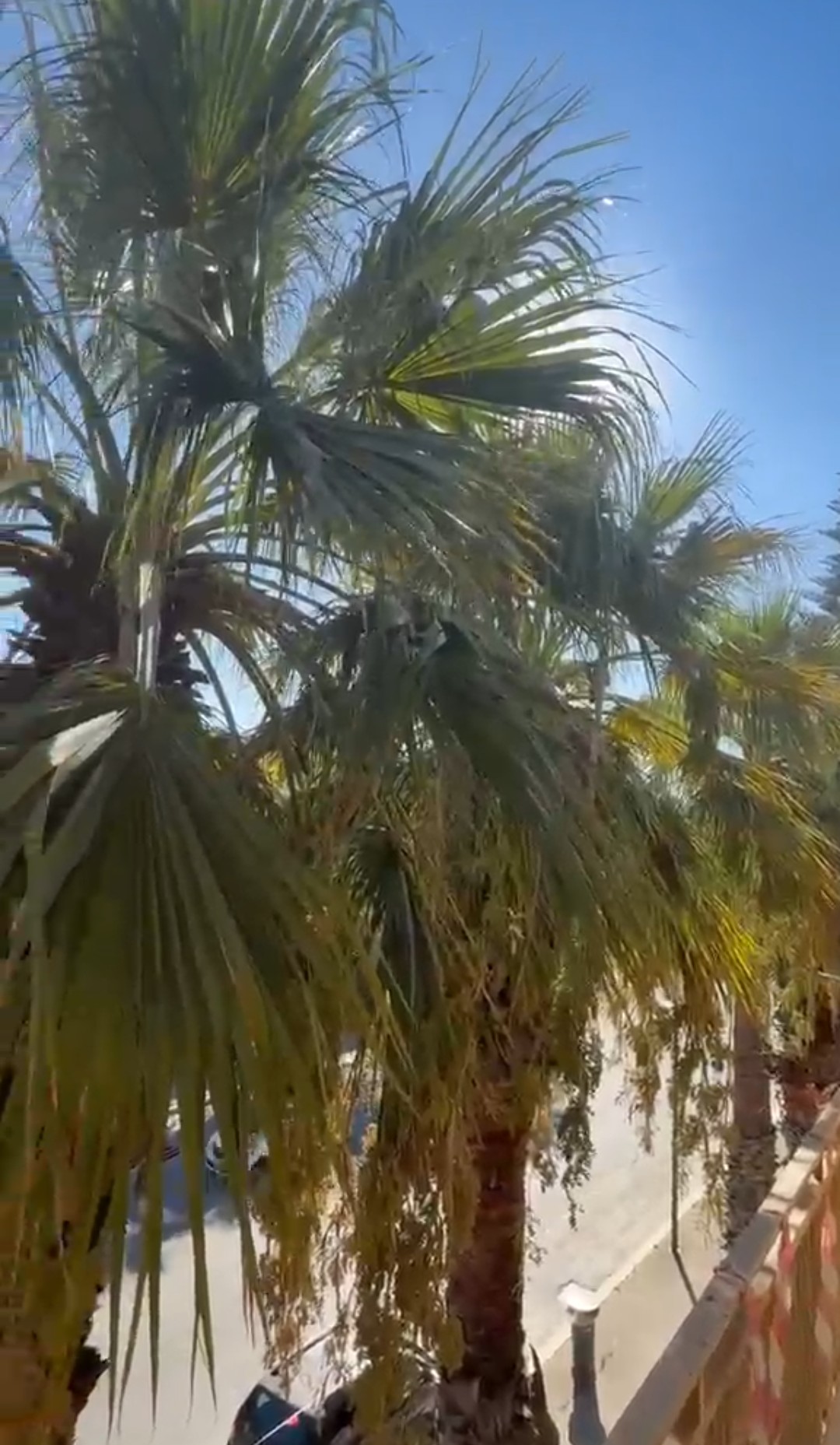 Al momento stai visualizzando Agrigento – Villaggio Peruzzo, denunciata una situazione igienico sanitaria non più tollerabile (video al Vg)