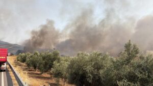 Scopri di più sull'articolo Agrigento – Incendi, al via le segnalazioni delle imprese agricole siciliane danneggiate dai roghi tra agosto e settembre