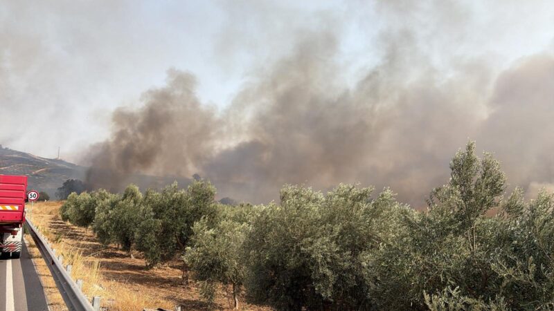 Al momento stai visualizzando Agrigento – Incendi, al via le segnalazioni delle imprese agricole siciliane danneggiate dai roghi tra agosto e settembre