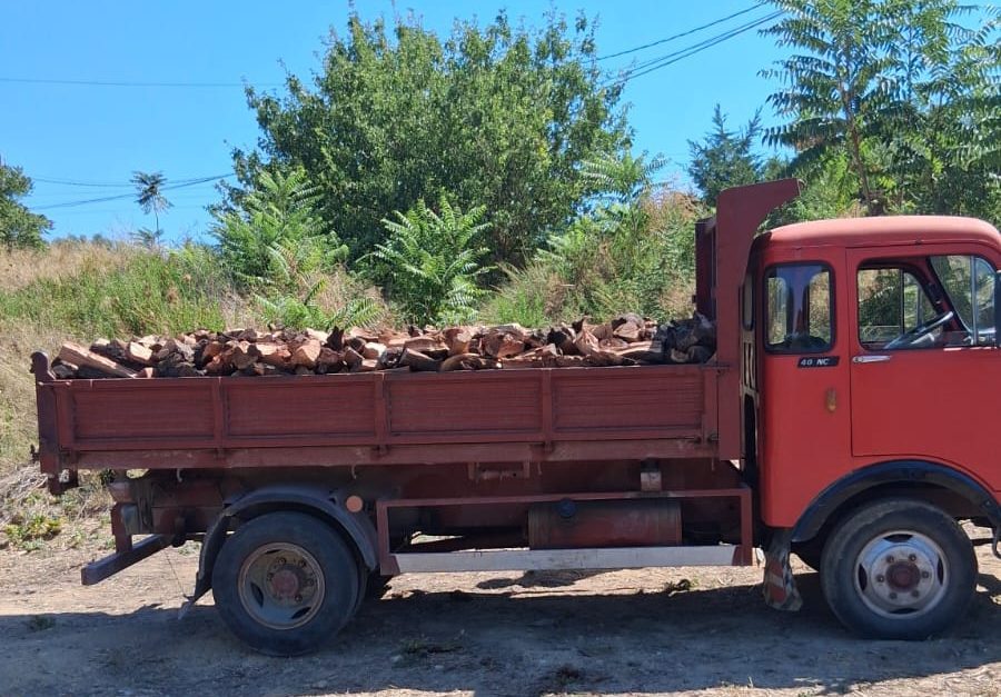 Al momento stai visualizzando Agrigento – Dissequestrato  camion trasportante materiale legnoso senza il FIR: accolto il ricorso e restituito il mezzo