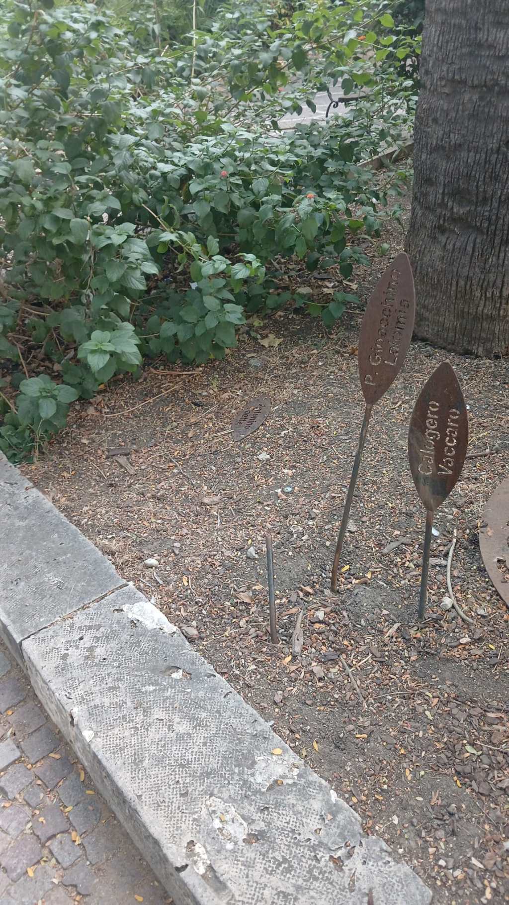 Al momento stai visualizzando Agrigento – Vandalizzato il Giardino dei Giusti, Corbo: “Rigettiamo l’illegalità e la cultura mafiosa”