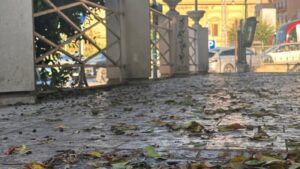 Scopri di più sull'articolo Agrigento, Viale della Vittoria: E’ il 16 settembre e siamo ancora punto e a capo. Ma la pulizia si programma o si aspetta Report Sicilia?