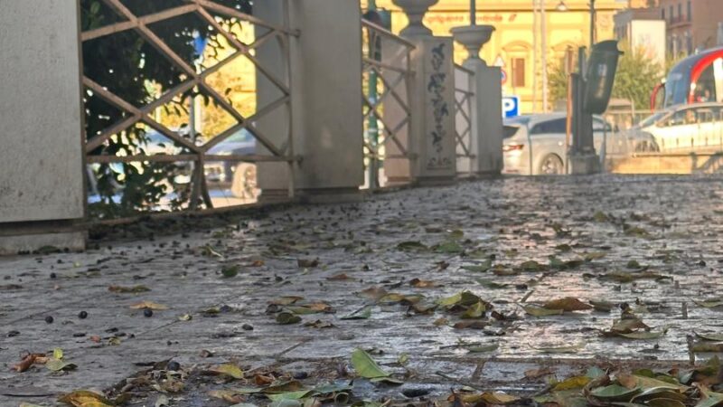 Al momento stai visualizzando Agrigento, Viale della Vittoria: E’ il 16 settembre e siamo ancora punto e a capo. Ma la pulizia si programma o si aspetta Report Sicilia?