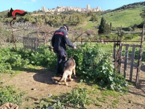 Scopri di più sull'articolo Agrigento – Villaseta e Porto Empedocle, stangata sui clan: 15 condanne e 180 anni di carcere