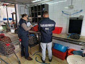 Scopri di più sull'articolo Agrigento – Controlli a tappeto in pescherie e gelaterie, sanzioni per 34 mila euro
