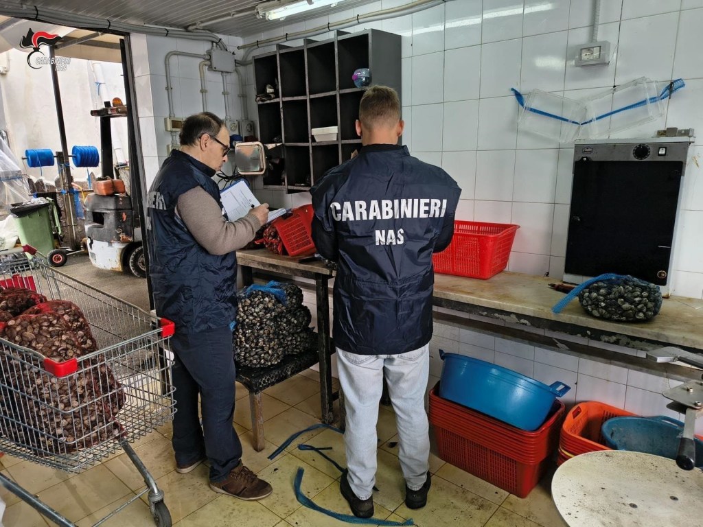 Al momento stai visualizzando Agrigento – Controlli a tappeto in pescherie e gelaterie, sanzioni per 34 mila euro