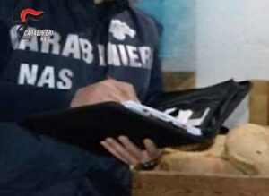 Scopri di più sull'articolo Agrigento – Blatte, materassi sporchi e alimenti mal conservati: chiuse due strutture per anziani e denunciato titolare