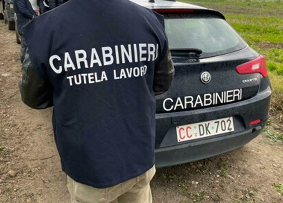 Scopri di più sull'articolo Agrigento – Azienda agricola con tutti i dipendenti “in nero”, attività sospesa e 25 mila euro di multa 