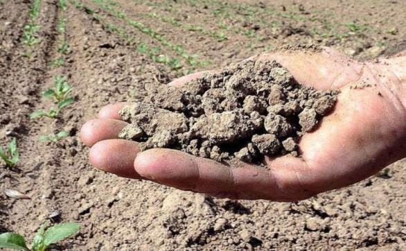 Al momento stai visualizzando Agrigento – Siccità e caldo, il Comune di Menfi chiede il riconoscimento dello stato di calamità per il comparto agricolo