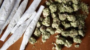 Scopri di più sull'articolo Agrigento – Marijuana, chiamarla “leggera” non significa che sia innocua: I rischi e la necessità di una prevenzione seria