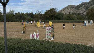 Al momento stai visualizzando Agrigento – Equitazione, Regionali ASI: medaglia d’oro a Gemma Mangione