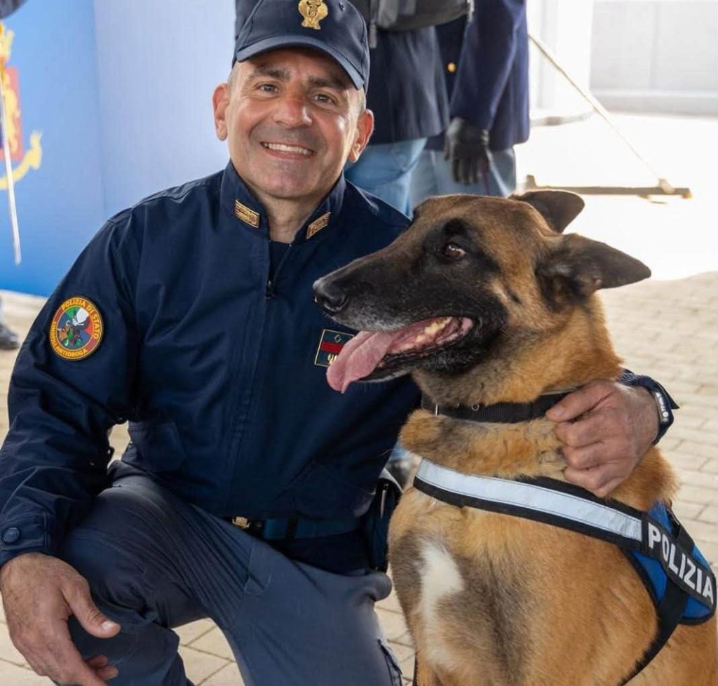 Al momento stai visualizzando Agrigento – Maui, il cane poliziotto più temuto dagli spacciatori va in pensione