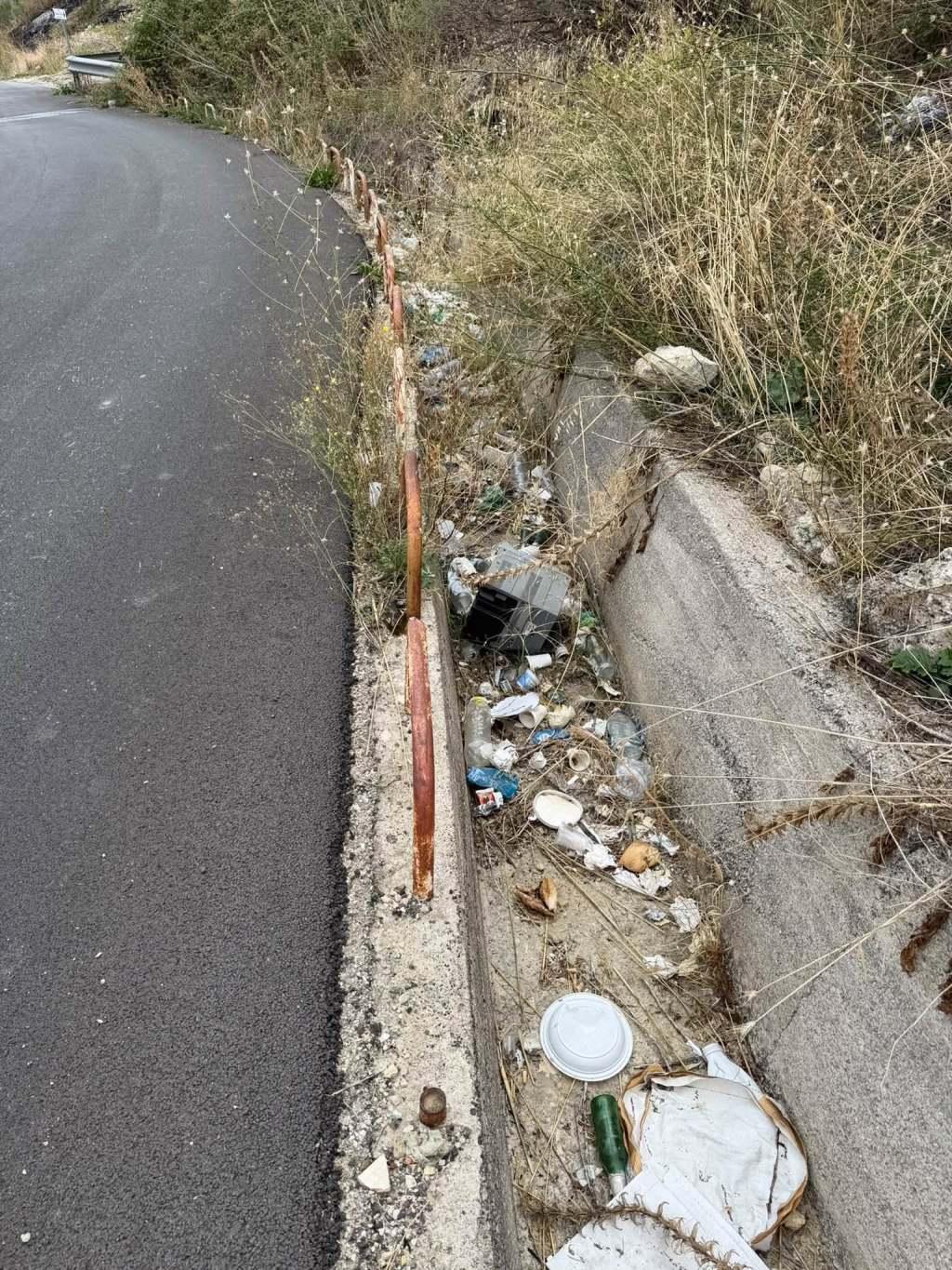Scopri di più sull'articolo Agrigento – Casteltermini, il gruppo consiliare di Forza Italia denuncia grave degrado infrastrutturale e ambientale