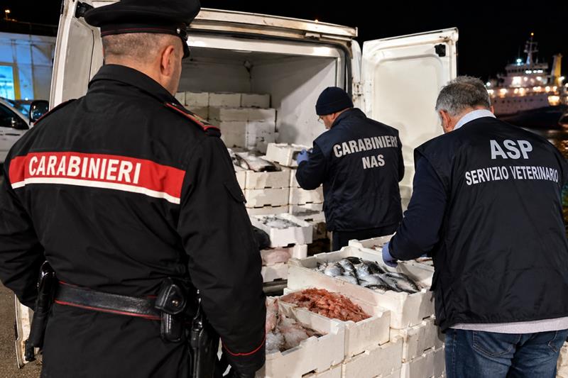 Al momento stai visualizzando Agrigento – Porto Empedocle, sequestrati 270 chili di pesce non idoneo al consumo: due denunciati e multe per 54mila euro