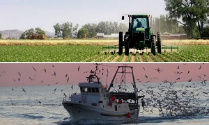Al momento stai visualizzando Agrigento – Agricoltura e pesca: settimana cruciale