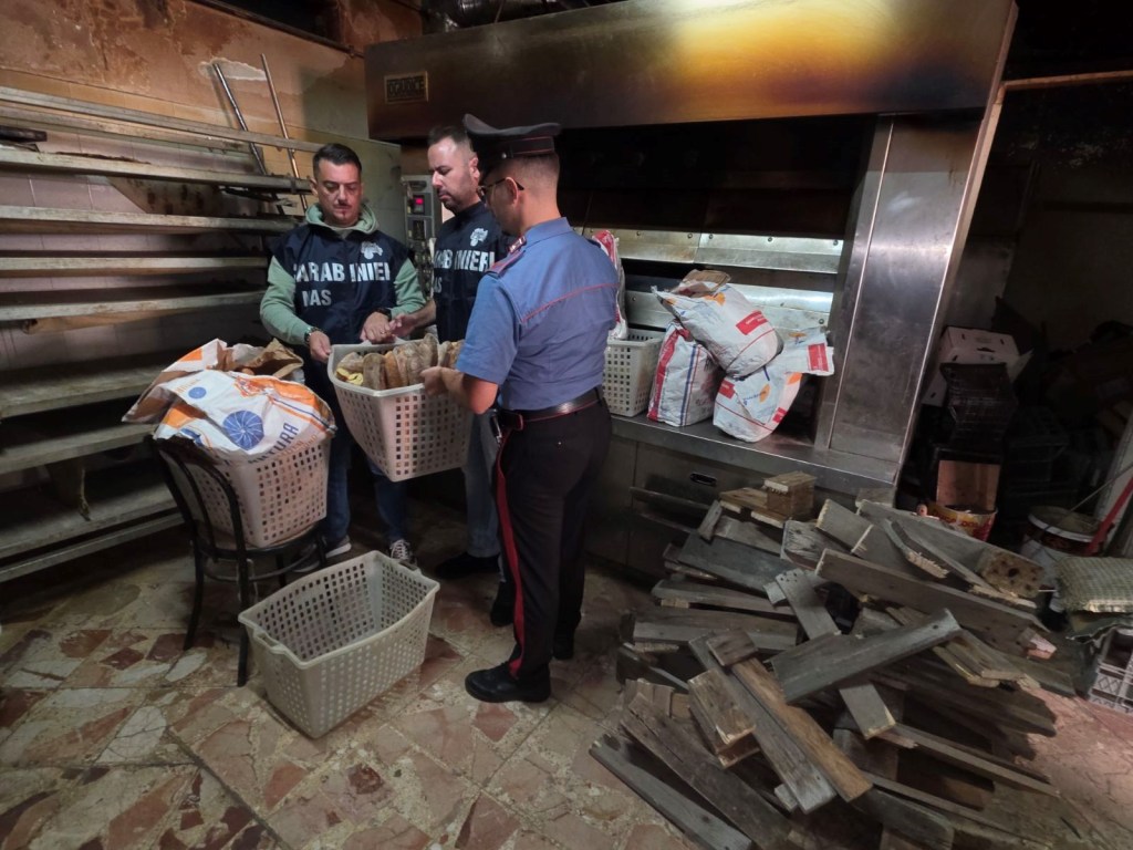 Al momento stai visualizzando Agrigento – Forno a legna non a norma e frutta e verdura non tracciati: scatta una denuncia e le sanzioni
