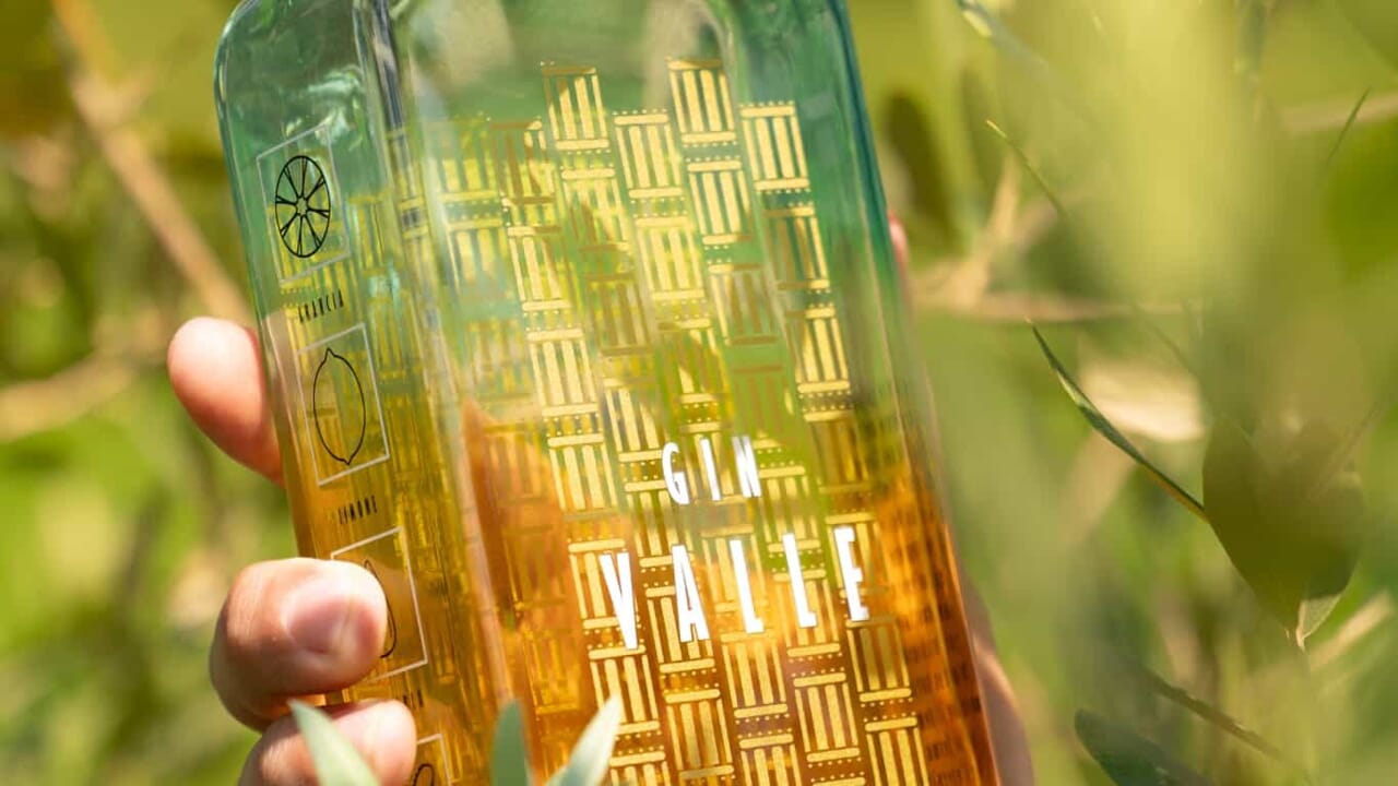 Al momento stai visualizzando Agrigento – Gin Valle ha vinto il titolo di “Gin Bottle of the Year 2026”