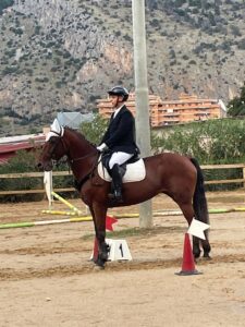 Al momento stai visualizzando Agrigento – Equitazione, grandi risultati per i ragazzi del San Benedetto alla Finale Regionale ASI di Palermo
