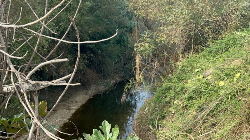 Al momento stai visualizzando Agrigento, torrente invaso dalla vegetazione a Petrusa. Rischio esondazione nei pressi della Rotonda degli Scrittori