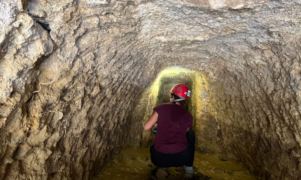 Al momento stai visualizzando Agrigento – I Cartaginesi la distrussero nel 406 a.C.: l’antica Akragas “rinasce” sotto la Kolymbethra