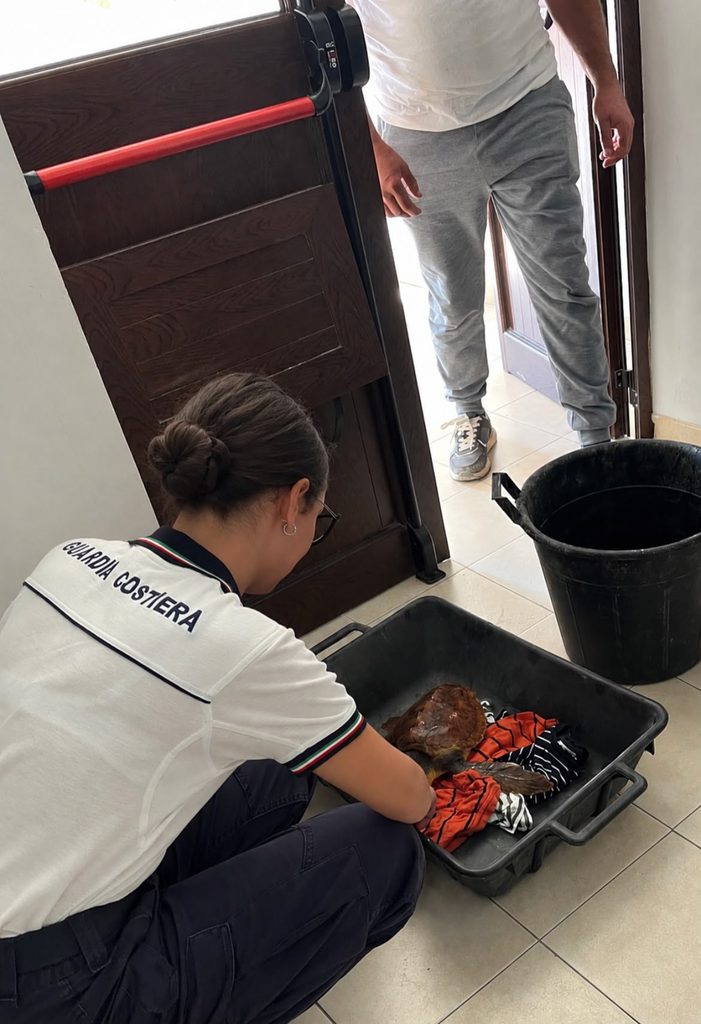 Scopri di più sull'articolo Agrigento – Caretta Caretta ferita recuperata da pescatori e consegnata alla guardia costiera: via alle cure