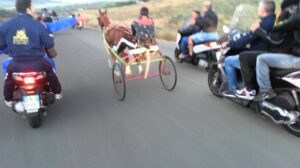 Scopri di più sull'articolo Agrigento – Corsa clandestina, cinque denunce e un cavallo sequestrato