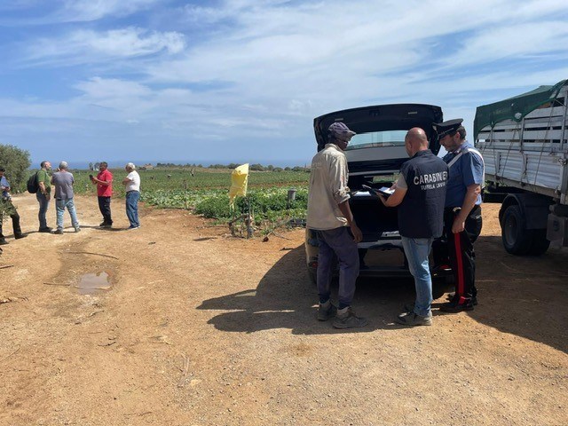 Al momento stai visualizzando Agrigento – Lavoratore sfruttato in un’azienda agricola, denunciato titolare e maxi multa di 25 mila euro 