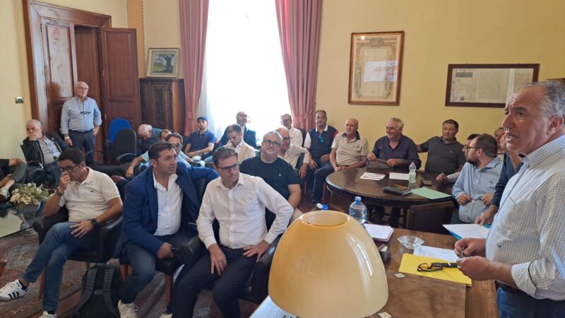 Al momento stai visualizzando Agrigento – Olio, è rivolta nell’Agrigentino: stop alla raccolta fino a domani. Dov’è la politica mentre cresce la crisi?