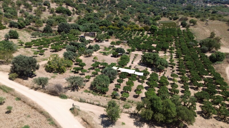 Al momento stai visualizzando Agrigento, Gabriella Cucchiara torna a denunciare la concorrenza sleale. Attività regolari sotto pressione e privati apparentemente senza controlli