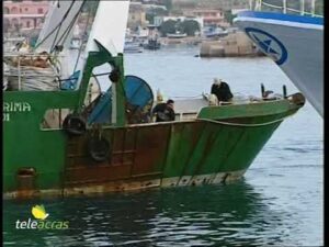 Scopri di più sull'articolo Teleacras – Agricoltura e pesca, settimana cruciale