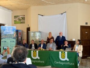 Scopri di più sull'articolo Agrigento – Uva sotto costo, olio da difendere: a Naro l’allarme della filiera siciliana