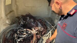 Scopri di più sull'articolo Agrigento – Cavi della fibra ottica e rame bruciato nel monovolume: due giovani denunciati a Licata